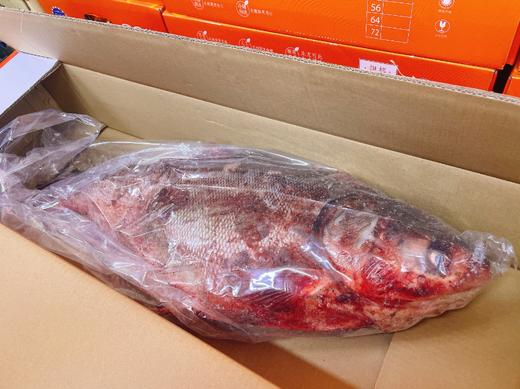 查干有机白莲鱼礼盒（10-11斤） 商品图1