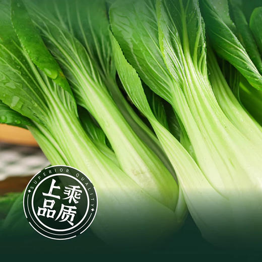 贵阳市政府市直机关食堂面点【GY】 商品图4