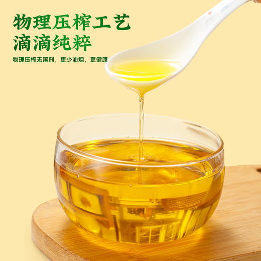 【严选】乡味百年&荆楚粮油 非转基因物理压榨食用油 一级菜籽油5L/1桶（厂家直发） 商品图1