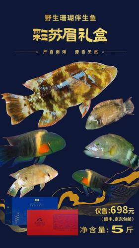 彩苏眉礼盒（净重5斤）