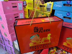 产地春见丑橘礼盒