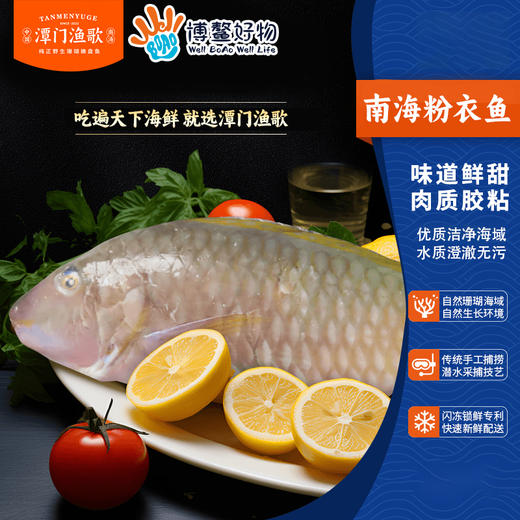 南海珊瑚海鲜礼  B（买即送鲜鱼包一份500 克 ，数量有限送完即止） 商品图3