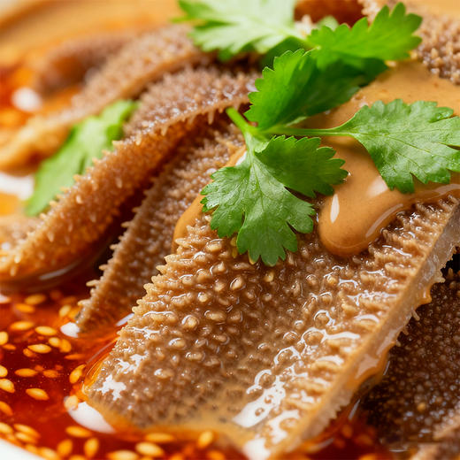 盐津铺子麻酱素毛肚（麻酱味|香菜味）180g+20g 商品图3