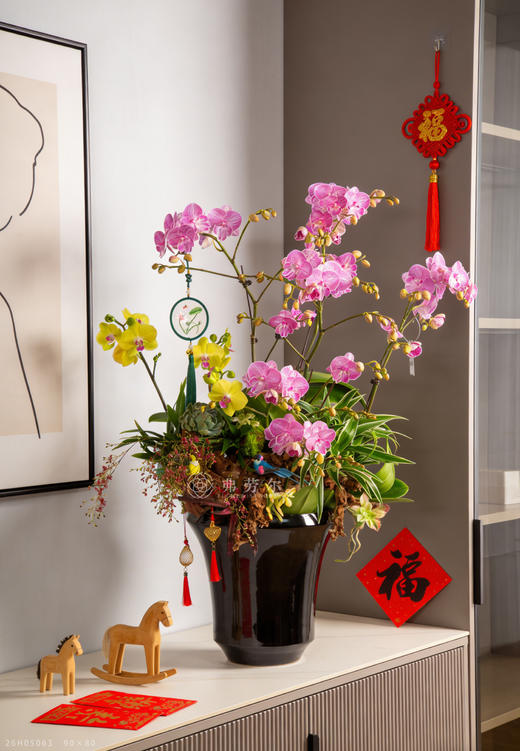 立马定乾坤 商品图0