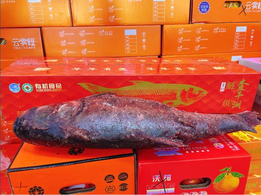 查干有机白莲鱼礼盒（10-11斤） 商品图0