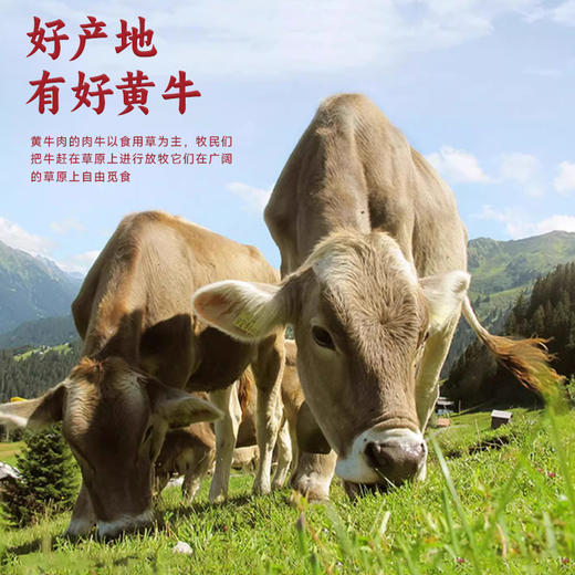 贵州小黄牛（无注水）1-2人套餐【GY】 商品图2