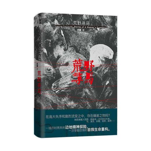 荒野寻马 青年作家依蔓 生命重启旅行记录之书 女性觉醒原创非虚构文学 商品图4