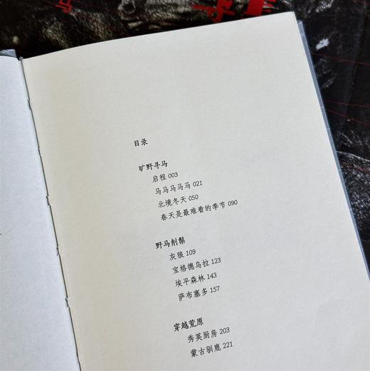 荒野寻马 青年作家依蔓 生命重启旅行记录之书 女性觉醒原创非虚构文学 商品图2