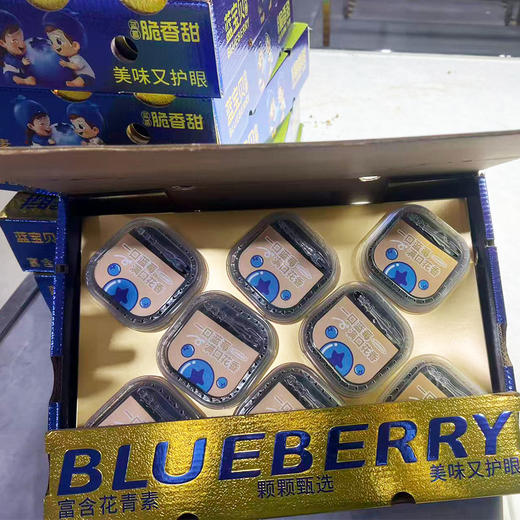 L25花香蓝莓18+（礼盒）8盒*100g 商品图1