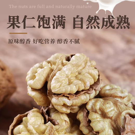山核桃5斤/袋【GY】 商品图1