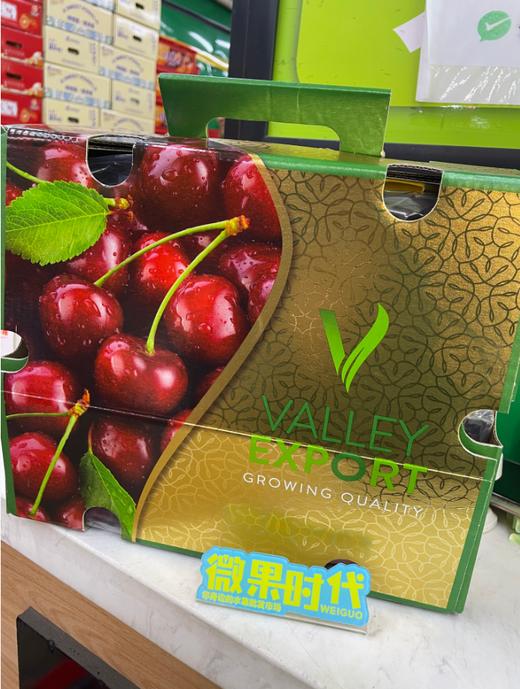 绿V二合一10斤装JD车厘子 商品图0