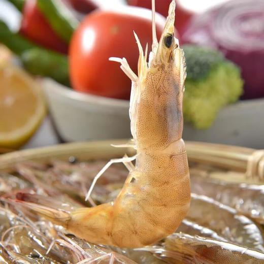 活虾40/50约500g/袋 商品图2