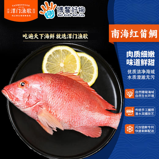 南海珊瑚海鲜礼  B（买即送鲜鱼包一份500 克 ，数量有限送完即止） 商品图5