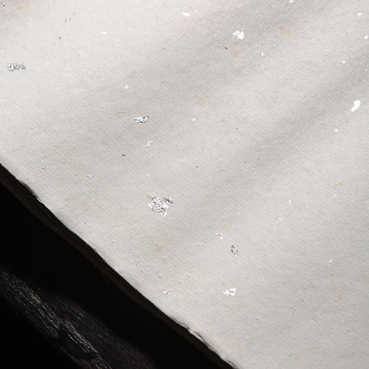 70-80年代安徽十竹斋制洒银笺（一卷25张） 商品图8