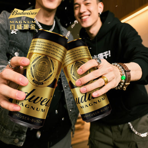 百威 黑金13°P啤酒 500ml*/1听/6听/12听 商品图2