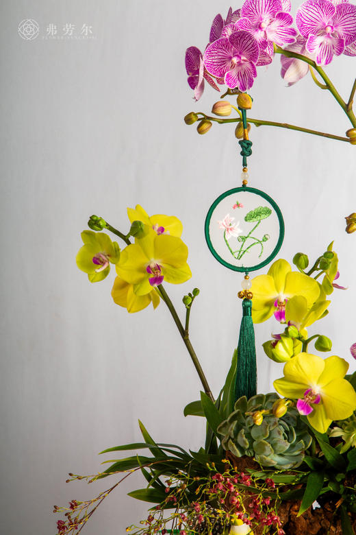 立马定乾坤 商品图2