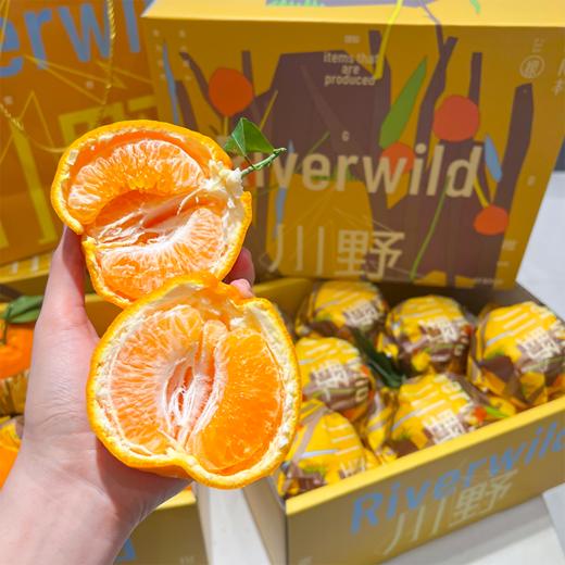 川野蜜柑 甜蜜爆汁 耙耙柑礼盒 商品图0