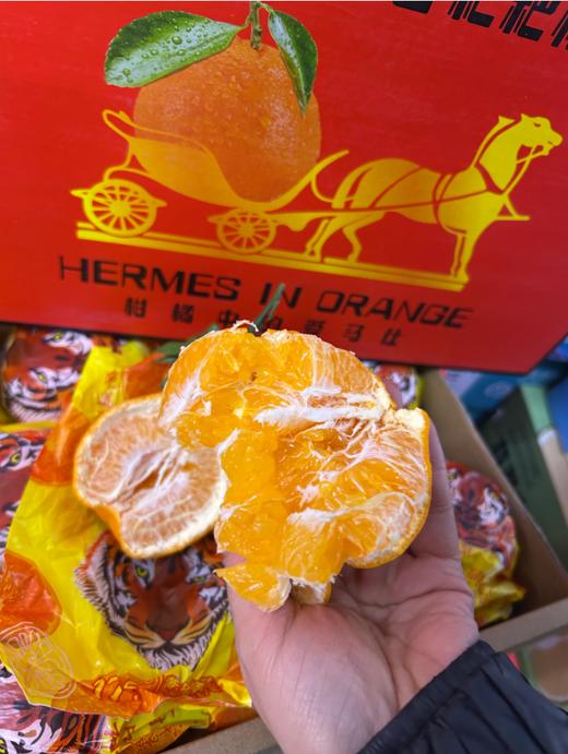 产地春见丑橘礼盒 商品图4