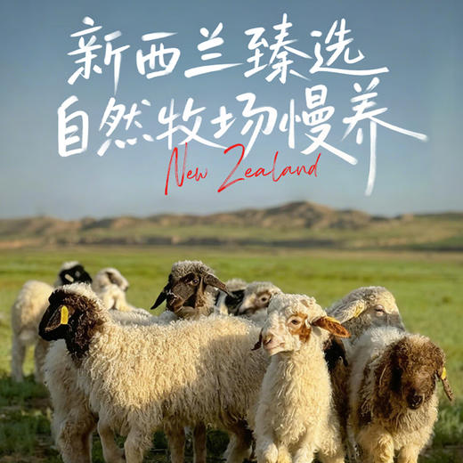 新西兰羔羊排550±50g/袋 商品图4