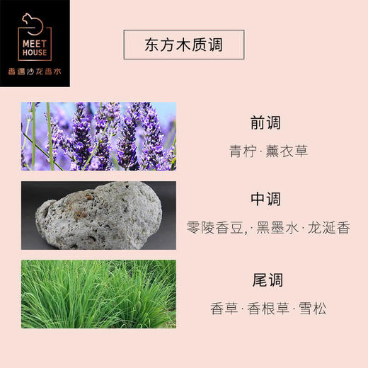 墨染梧桐影50ml 商品图2