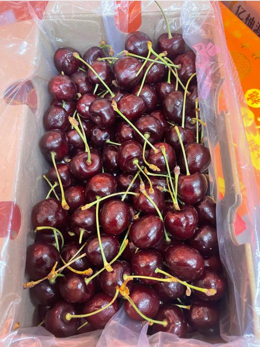 吉制单J车厘子一箱（4斤装） 商品图1