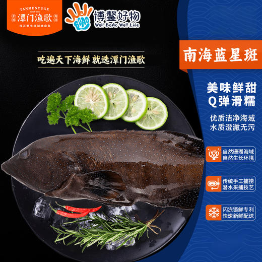 南海珊瑚海鲜礼  B（买即送鲜鱼包一份500 克 ，数量有限送完即止） 商品图2