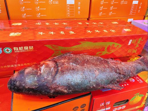 查干有机白莲鱼礼盒（10-11斤） 商品图2