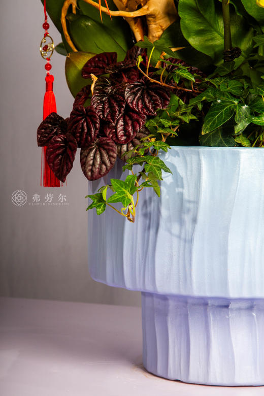 马跃幸福门 商品图5