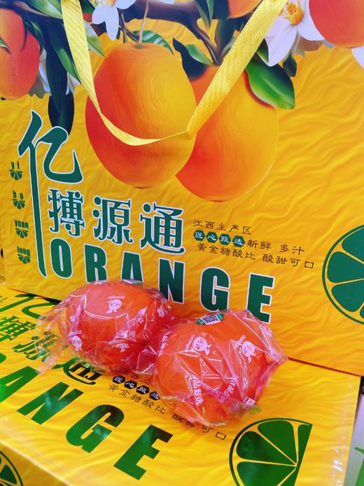 亿搏源通赣南脐橙礼盒 商品图4