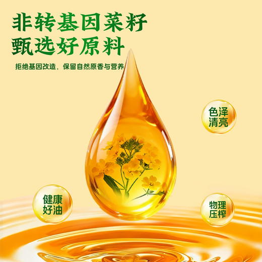 【严选】乡味百年&荆楚粮油 非转基因物理压榨食用油 一级菜籽油5L/1桶（厂家直发） 商品图2