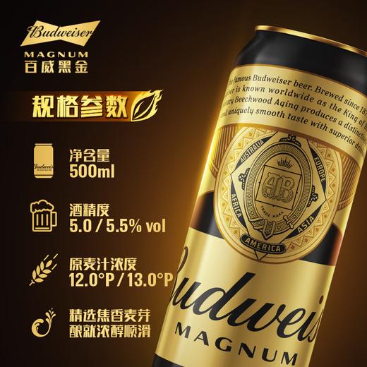 百威 黑金13°P啤酒 500ml*/1听/6听/12听 商品图1