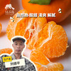 生态耙耙柑（四川丹棱） | 合作生产 *Eco-Danling harrow orange | Partner Production 商品缩略图0