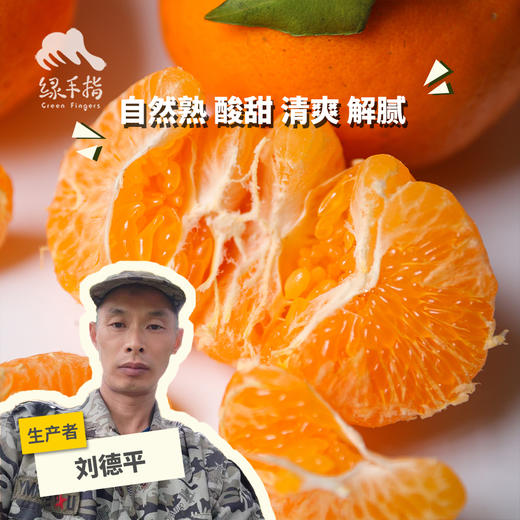 生态耙耙柑（四川丹棱） | 合作生产 *Eco-Danling harrow orange | Partner Production 商品图0