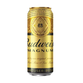 百威 黑金13°P啤酒 500ml*/1听/6听/12听