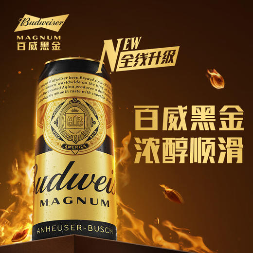 百威 黑金13°P啤酒 500ml*/1听/6听/12听 商品图3