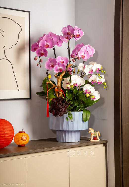 马跃幸福门 商品图1