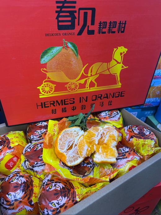 产地春见丑橘礼盒 商品图2