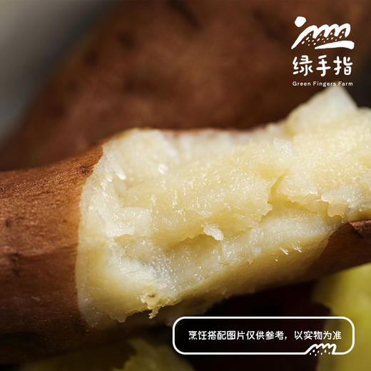 生态红薯（河北，买赠活动）| 合作生产* Ecological sweet potato | Partner Productionn 商品图4