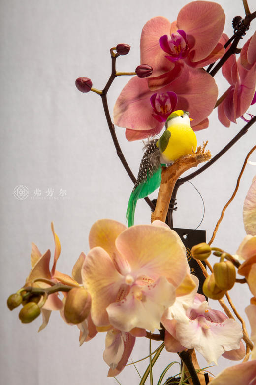 马上笑颜开 商品图3