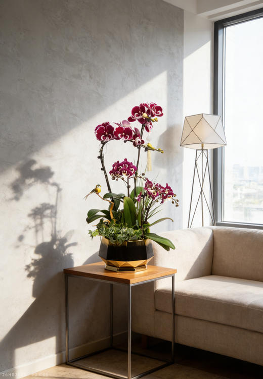 马上财运到 商品图0