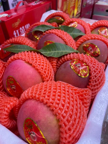 澳芒一箱 商品图3