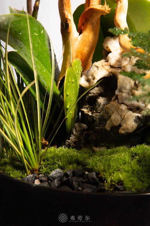 马拓锦绣程 商品图2