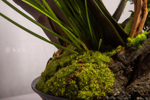 马跃山河新 商品图4