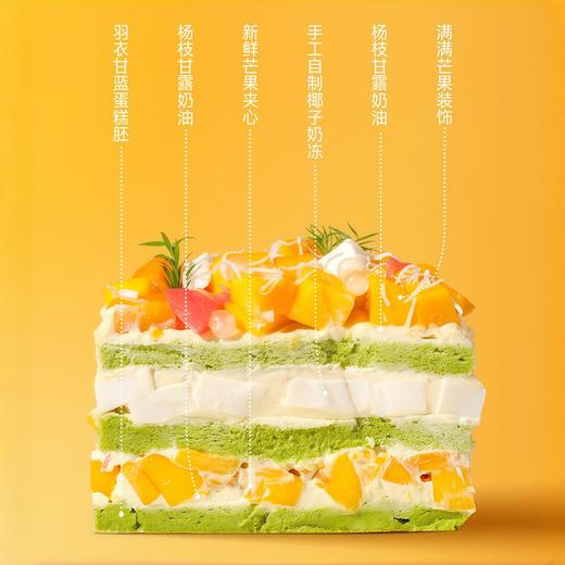 【杨枝甘露芒芒】四季鲜果奶油蛋糕 商品图1