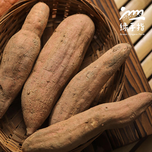 生态红薯（河北，买赠活动）| 合作生产* Ecological sweet potato | Partner Productionn 商品图1