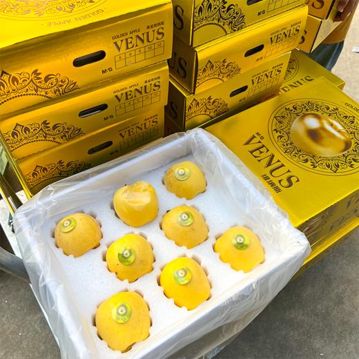 黄铲铲黄金维纳斯苹果 礼盒 商品图1