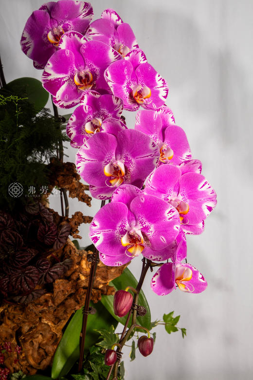 策马奔前程 商品图2