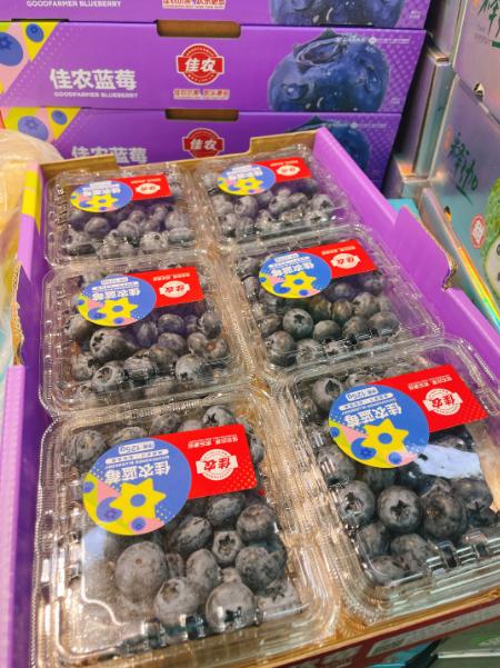 佳农蓝莓一箱 商品图3