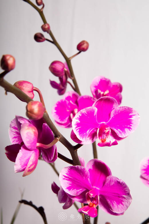 马跃山河新 商品图2