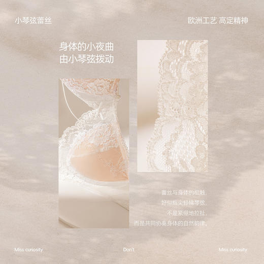 好奇蜜斯细肩带内衣女法式蕾丝三角杯无钢圈小胸文胸罩套装26夏薄-桑妮 商品图2